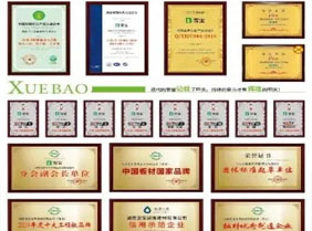 雪宝家居集团大楼